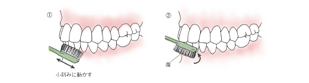 歯磨きの仕方