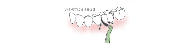 歯磨きの仕方